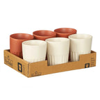 SET 6 VASOS CAFÉ CORTADO EN TERRACOTA Y BEIGE