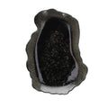 FUENTE OVALADA REEF MARINO NEGRA