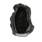 FUENTE OVALADA REEF MARINO NEGRA