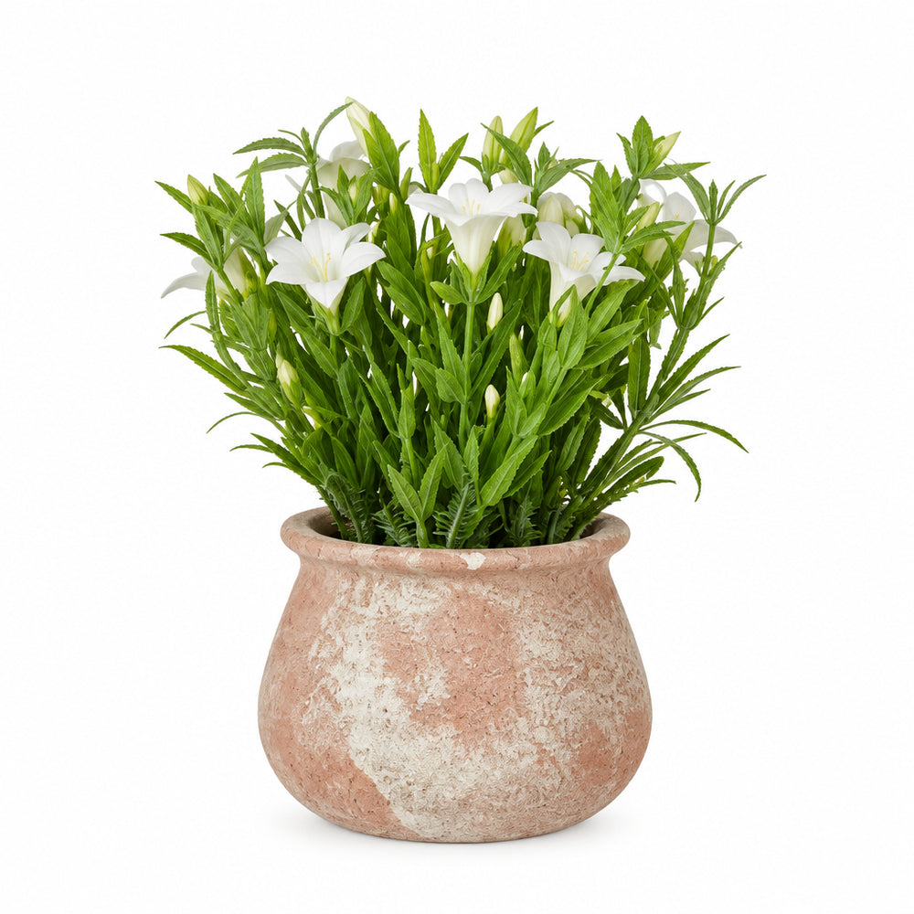 MACETA DE TERRACOTA CON FLORES ARTIFICIALES (3 COLORES) · foto 4