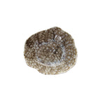 PLATO HONDO REEF MARINE
